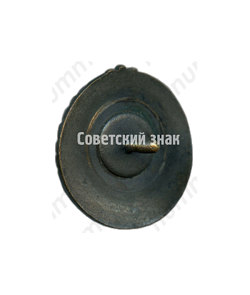 Знак чемпиона «Динамо». Эстонская ССР 