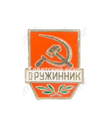 Знак «Дружинник. Тип 4»