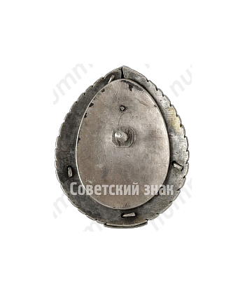 Орден труда Хорезмской ССР. Тип 1 