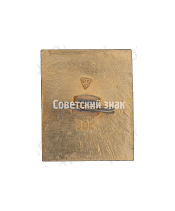 Знак «Город Суздаль. Тип 9»