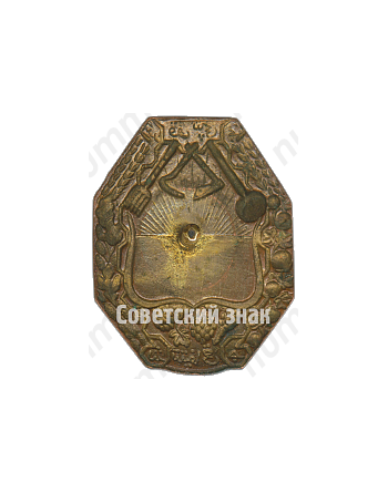 Знак «Союз Кошчи. Туркестанская АССР»