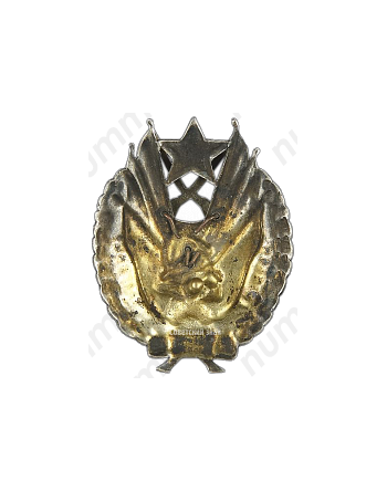 Знак «За отличную стрельбу 1930 г. ВУСМР»