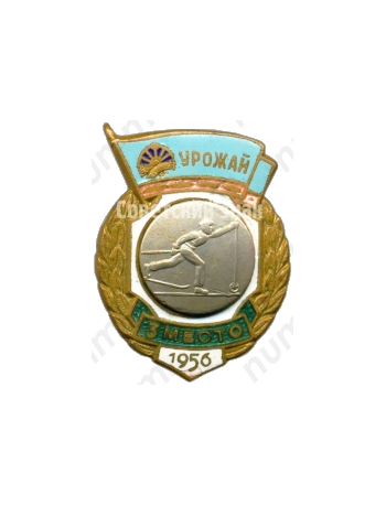 Знак за 3 место в первенстве ДСО «Урожай». Лыжные гонки. 1956 