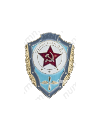 Знак «Отличник ВВС»