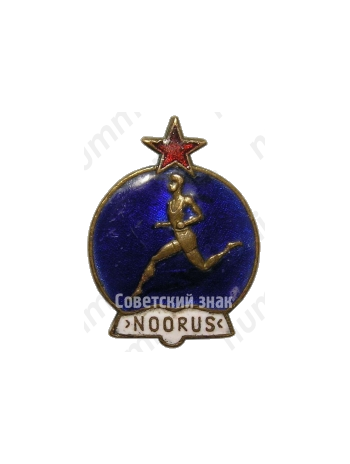 Членский знак ДСО «NOORUS» (Юность). Тип 1 