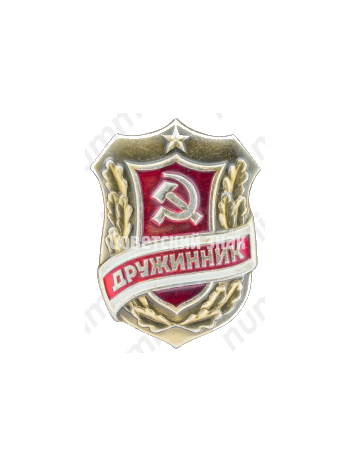 Знак «Дружинник. Тип 5»