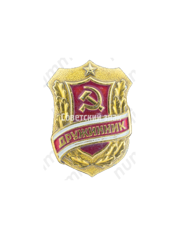 Знак «Дружинник. Тип 5»