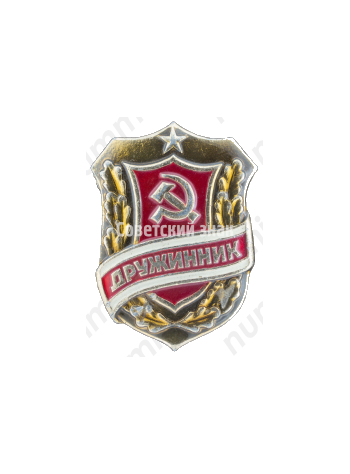 Знак «Дружинник. Тип 5»