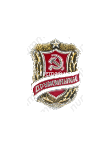 Знак «Дружинник. Тип 5»