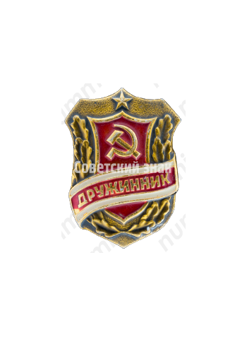 Знак «Дружинник. Тип 5»