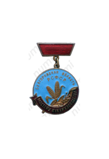 Медаль «Мастеру кукурузоводства. Белгородская область РСФСР»