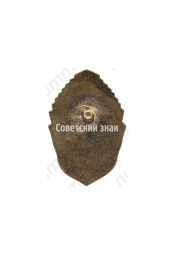 Знак «Спартакиада РСФСР. 1948. Коньки»