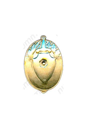 Знак «Заслуженный участковый инспектор милиции»