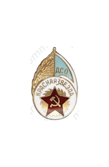 Членский знак ДСО «Красная звезда». Тип 1