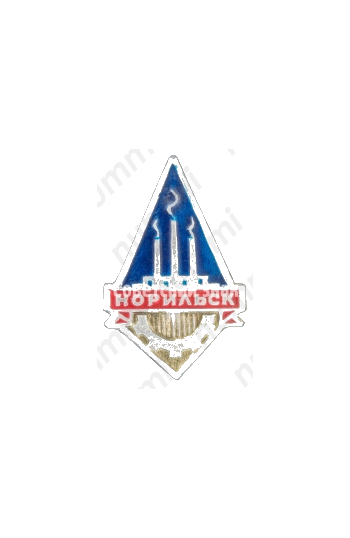 Знак «Город Норильск. Тип 8»