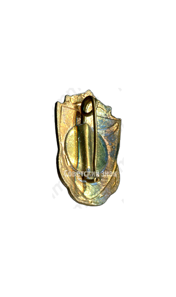 Членский знак ДСО «Буревестник». Тип 1 