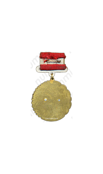 Медаль «Заслуженный ветеран труда ТОЗ (Тульский оружейный завод)»
