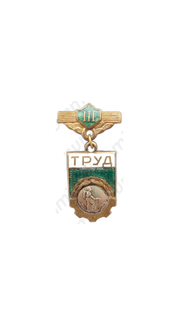 Знак «ДСО (Добровольные спортивные общества) «Труд». 3 место. Альпинизм»