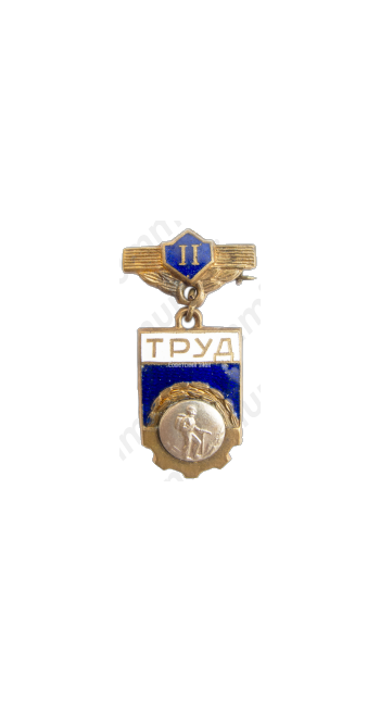 Знак «ДСО (Добровольные спортивные общества) «Труд». 2 место. Альпинизм»