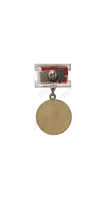 Медаль «За воинскую доблесть» Тувинской Аратской Республики 