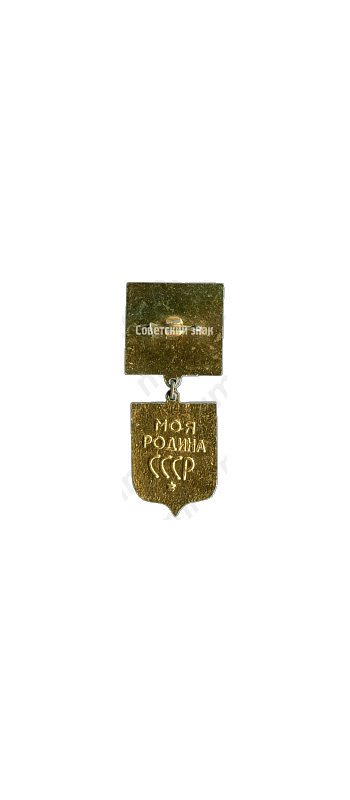 Знак ««Моя родина СССР». ВЛКСМ. «Бронзовый»»