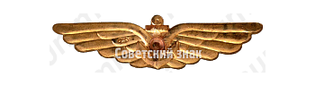 Знак летчика палубной авиации Военно-Морского Флота (ВМФ) 